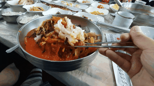 영덕 물회 맛집 동해안 횟집 영덕 물회 맛집 동해안 횟집