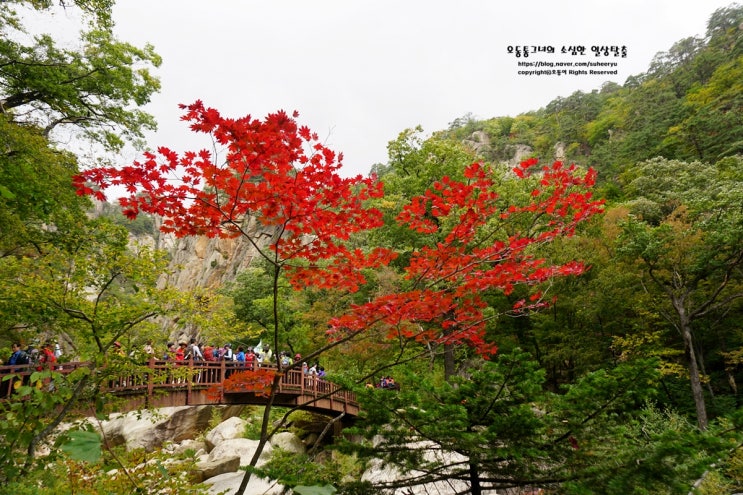  단풍여행 설악산 오색약수터 시작으로 가본 단풍명소 주전골