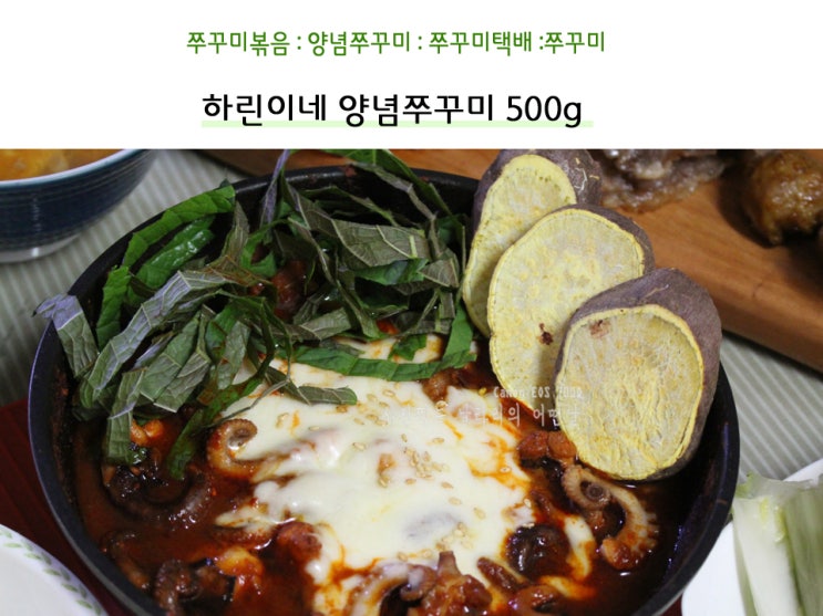  쭈꾸미볶음 쉽고 간편하게 하린이네 양념쭈꾸미 먹자