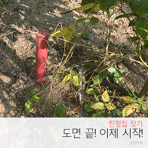 | 농가주택 짓기 #1 | 친정집 새로 짓다! 집터 보고왔어요~