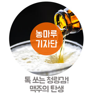  톡 쏘는 청량감! 맥주의 탄생