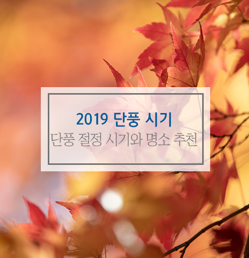  2019년 단풍시기 설악산, 내장산 등 단풍 명소도 확인!
