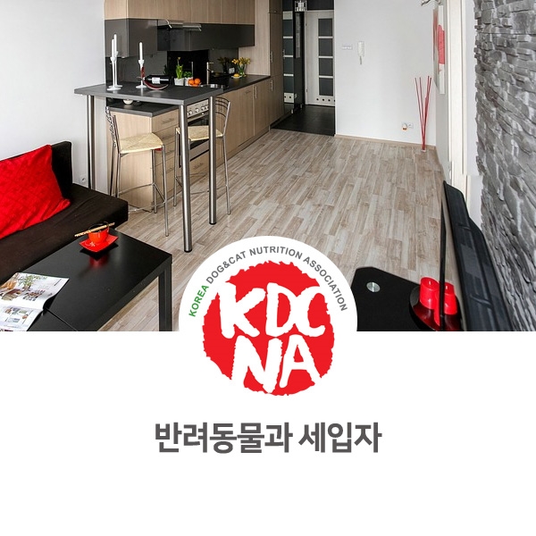  [반려동물 정보 뉴스] 반려동물을 키우는 세입자 문제 사례_29