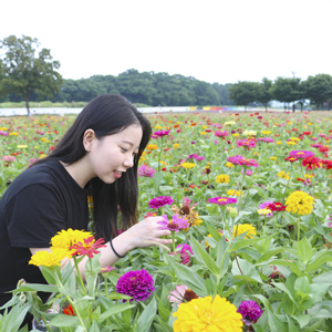  한여름에 떠난 포항 - 경주여행 3일차