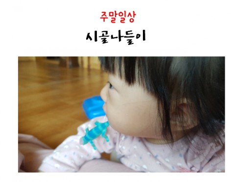 주말일상 : 9개월 구강기는 언제쯤끝날까요?