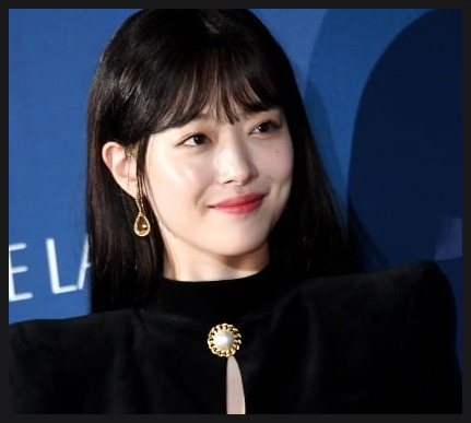  설리 죽음 구하라 소환까지 악플피해!