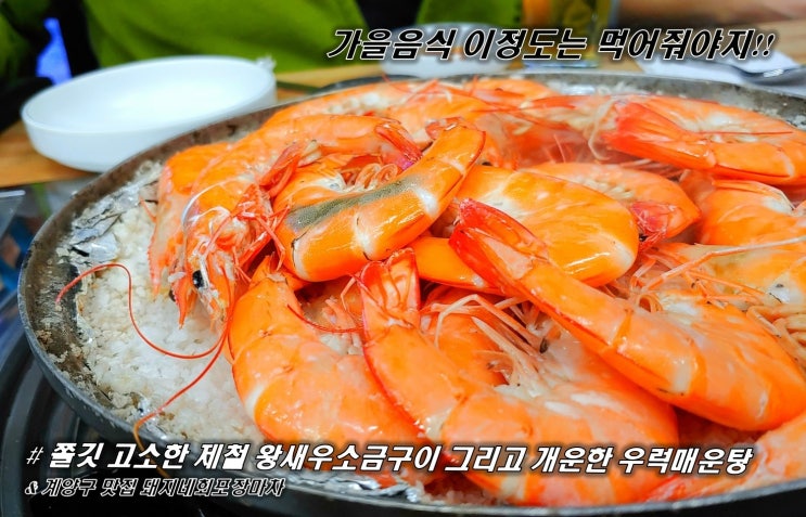  가을음식 이정도는 먹어줘야지!! 쫄깃 고소한 제철 왕새우소금구이 그리고 개운하게 완탕 우럭매운탕 계양구 맛집 돼지네회포장마차