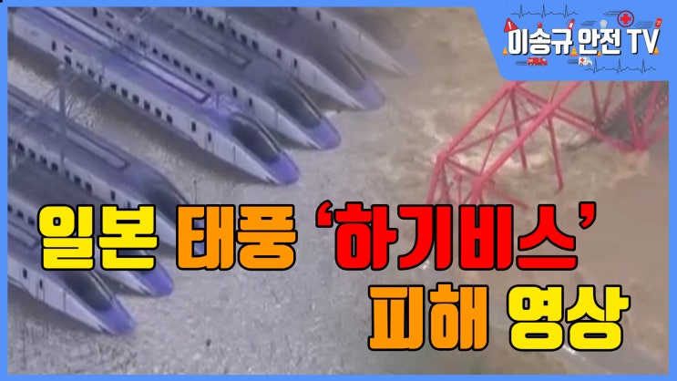  일본 태풍 '하기비스' 피해...사망·실종 50여명