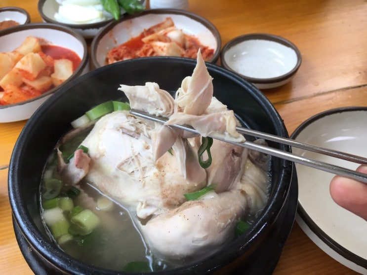  서울 녹각삼계탕 용인 삼계탕 맛집 추천 기막힌다!