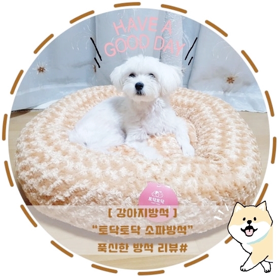  [강아지방석]"토닥토닥 소파방석"푹신한 방석리뷰#