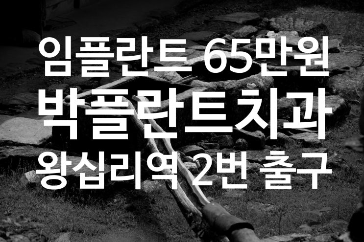  치과 견적 치료 비용 비교
