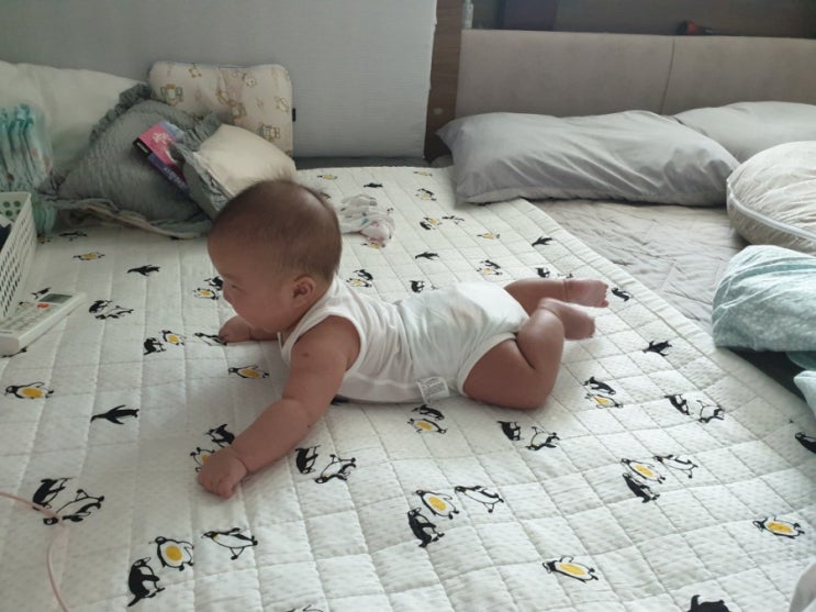 [튼튼이 성장기록 D+121 ~130] 아기고관절 각도 경계  기저귀 교정 4개월 아기 풀잠