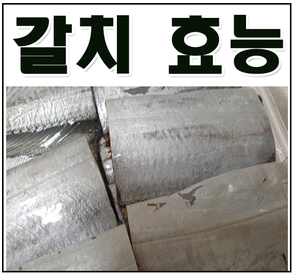  갈치 효능, 보관법, 고르는법  알아보기