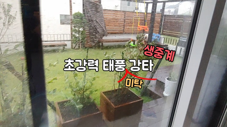  초강력 태풍 강타 | 전원주택