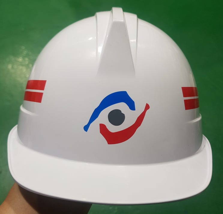  한국노총 전국연합건설노동조합 안전모