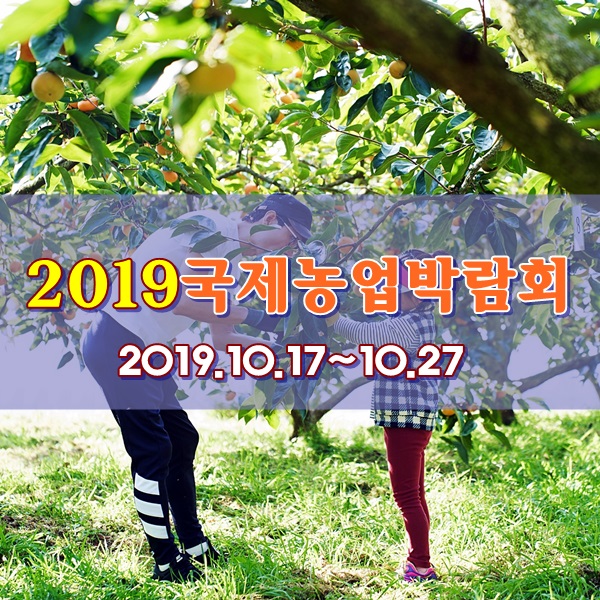 &lt;전남 10월 축제&gt;2019국제 농업박람회. 홍보대사 송가인 콘서트