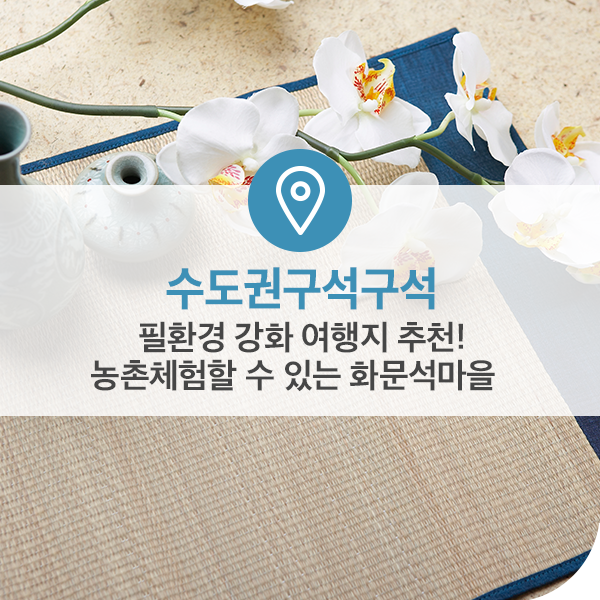  필환경 강화 여행지 추천! 농촌체험할 수 있는 화문석마을