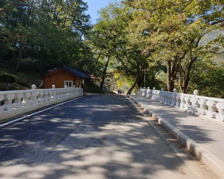  경남 하동 볼만한 곳 쌍계사