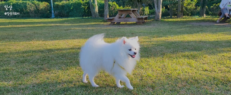  제주 일상, 아무것도 하기 싫은 요즘..ㅠㅠ