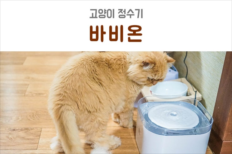 바비온 고양이 정수기 늘 깨끗한 물을 줄 수 있는 고양이 급수기