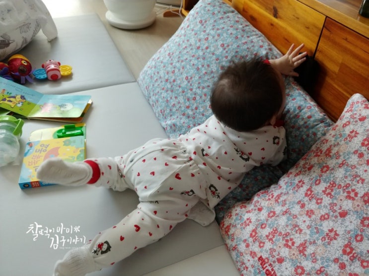  258일 아기 성장일기 이제는 잡고 기어올라 집어꺼내요