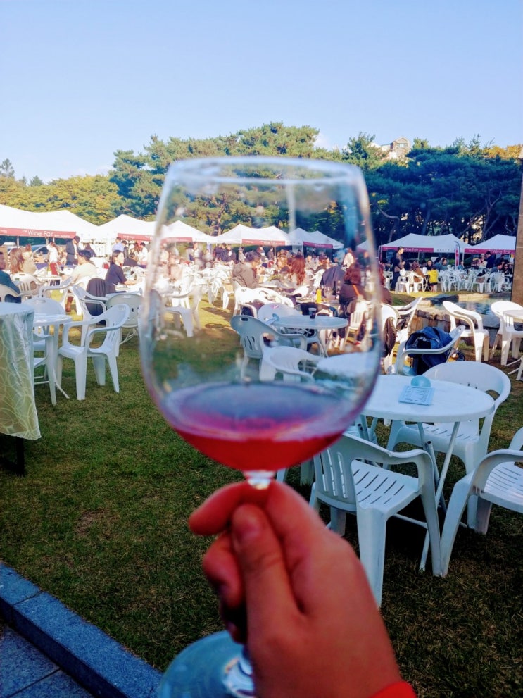 [2019 The-K Hotel Wine Fair] 가을날의 와인 나들이