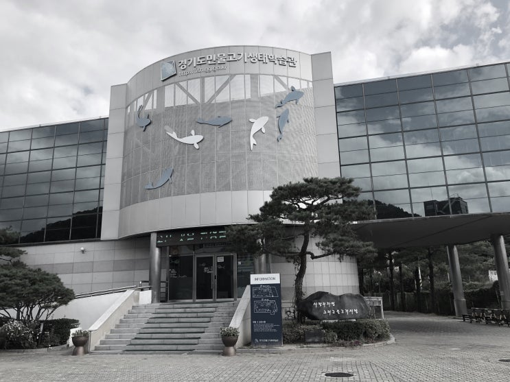  양평 민물고기 생태학습관, 양평 가볼만한 곳