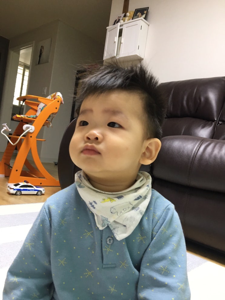  생후 383일