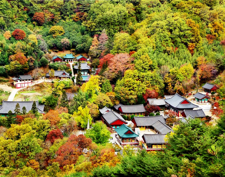  하동의 명소..지리산 쌍계사의 가을