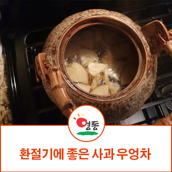  감기예방 감기에 좋은 차  사과 우엉차 (과일차) 만들기