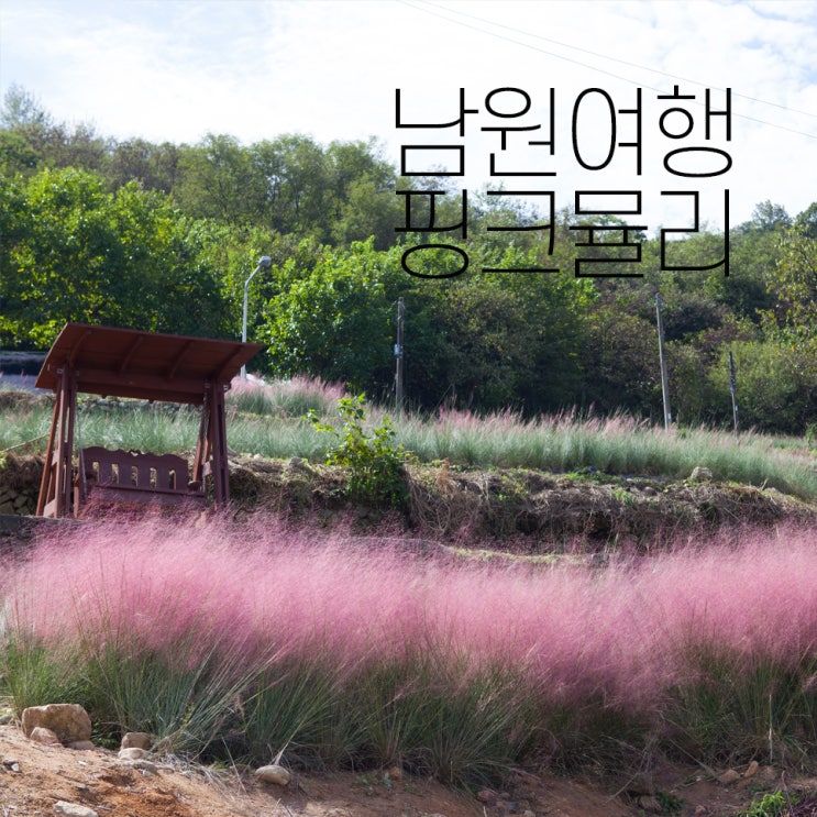  남원여행 핑크뮬리 곱게 핀 가을여행지에서 인생사진을