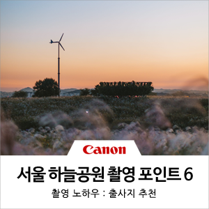  가을 여행지 추천, 하늘공원 억새축제 촬영 포인트 6!