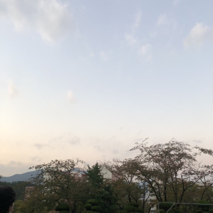  ,블로그 읽기 좋은 날씨