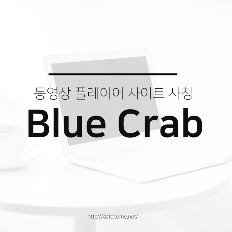  동영상 플레이어 프로그램을 위장한 블루크랩 랜섬웨어 주의