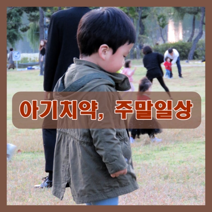  유아치약 불소 고민과 주말 일상