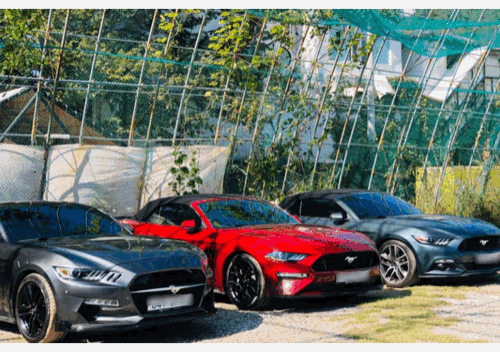  포드 머스탱 동호회 W.A.M ㅣ Ford Mustang 오너들의 모임ㅣ지역 C 메르블루
