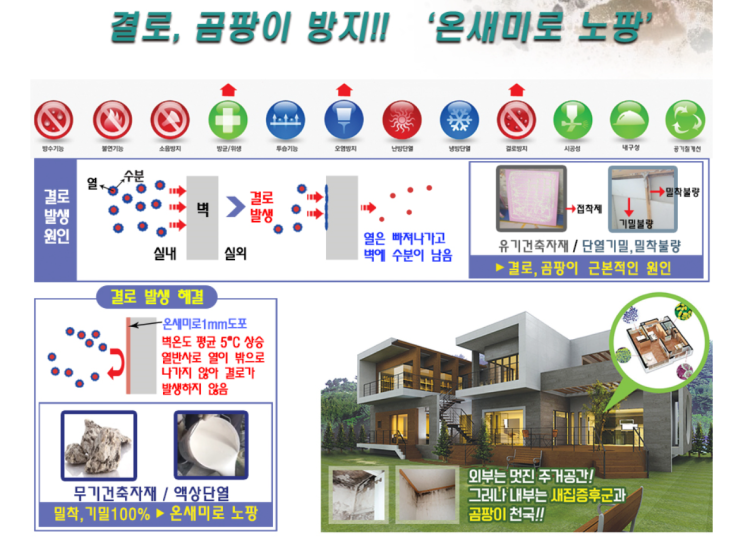  노팡&노팡플러스) 곰팡이로 인한  집안 내부~벽지 그리고 재발방지에 관한 정보 공유~