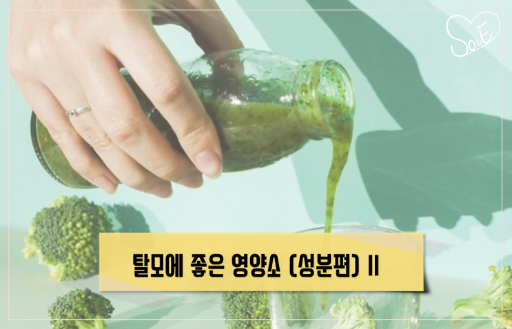 탈모에 좋은 영양소 (성분편) Ⅱ