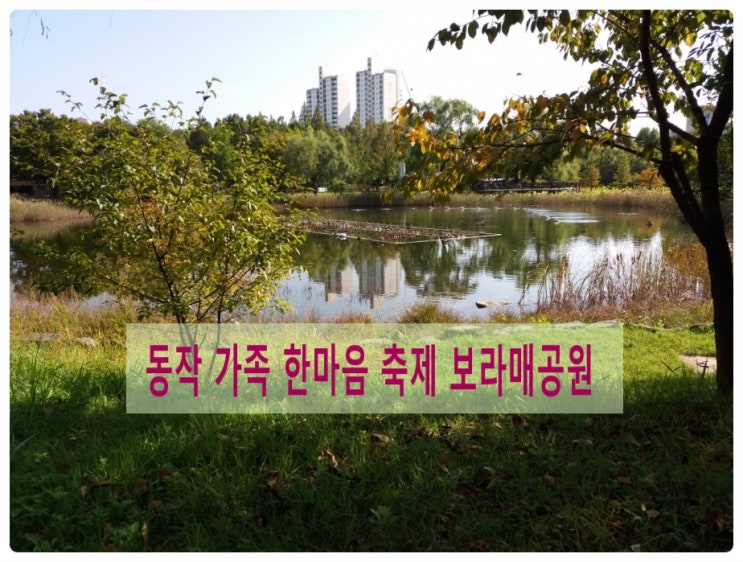  동작 가족 한마음 축제(질풍가도) 깃발 춤 배우기