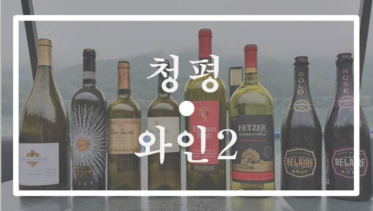  9월의 어느 멋진 주말 2편 청평호반에서 가을 바비큐 파티를!