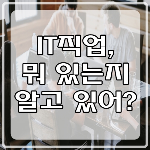  IT직업, 개발자 외에 또 뭐 있는지 알고 있어?