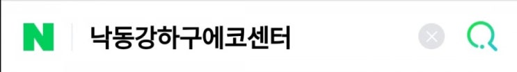  부산 핑크뮬리! 소감과 지도 정보 다있어요!