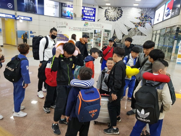  포항 무술학교 선수부들 로드FC 대회 참가했어요