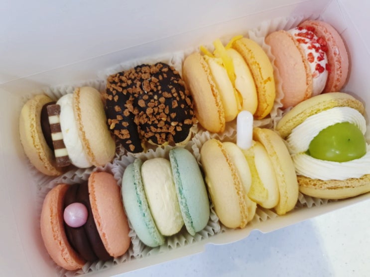  대구 범어동 마카롱 맛집 - 마카롱키친 뚱카롱 엄지척!