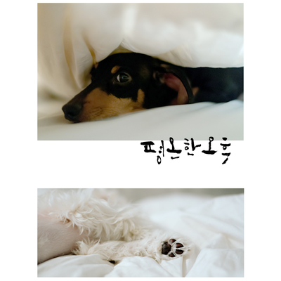  대구 캘리그라피_남녀노소, 나이 불문 모두가 사랑하는 글씨 이야기