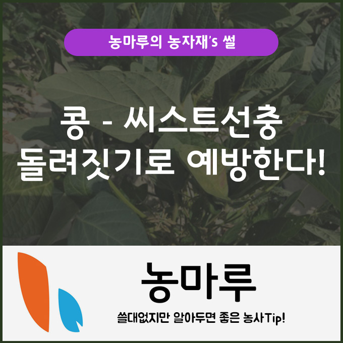 돌려짓기‧중도저항성 품종으로 콩 "씨스트선충" 예방한다!