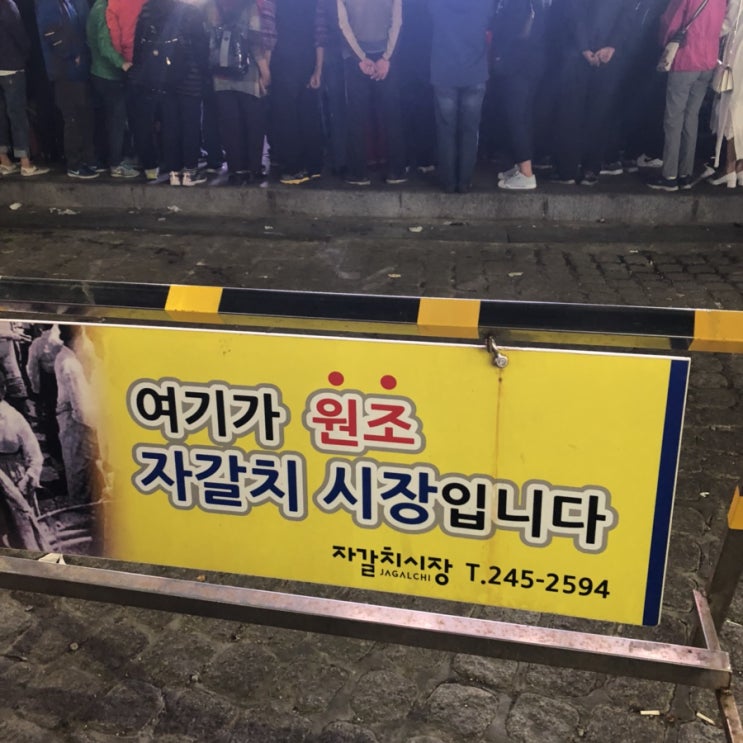  [부산/남포동] 자갈치축제