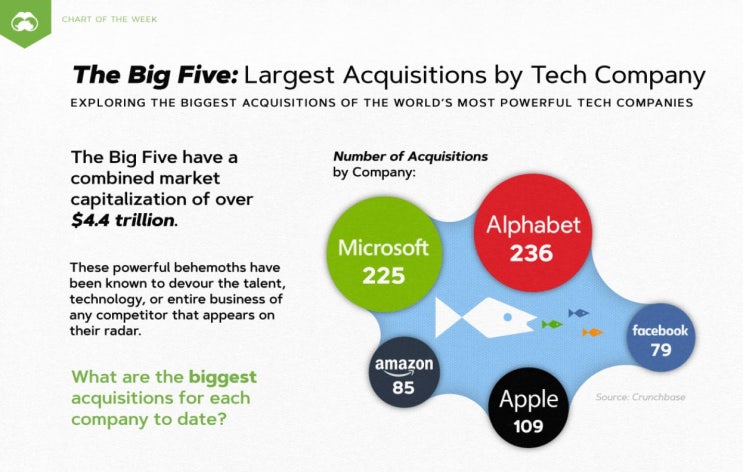 The Big Five: Largest Acquisitions by Tech Company (마이크로소프트, 아마존, 구글, 애플, 페이스북)