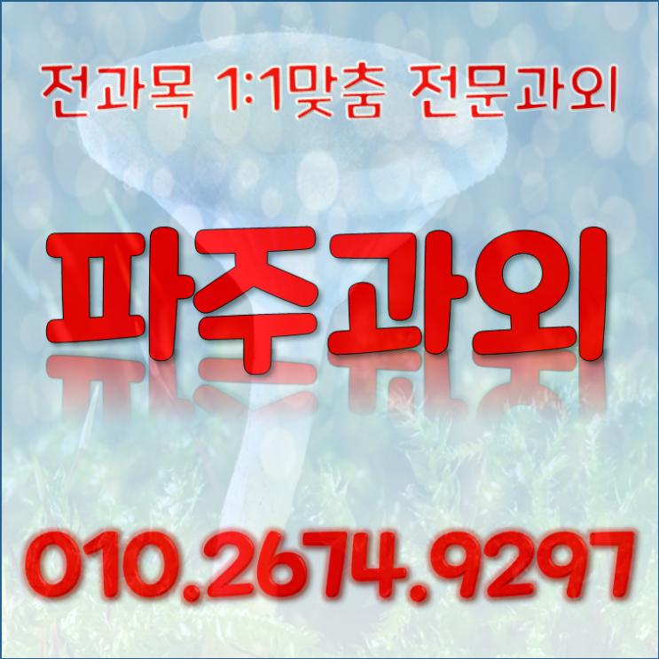  파주시 과외 수업 영어과외 금릉 금촌 수학과외 화창한 청소년
