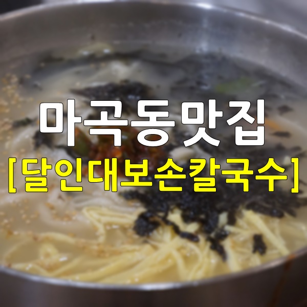  마곡동맛집 달인대보손칼국수 매일 가서 먹고 싶은 맛!!